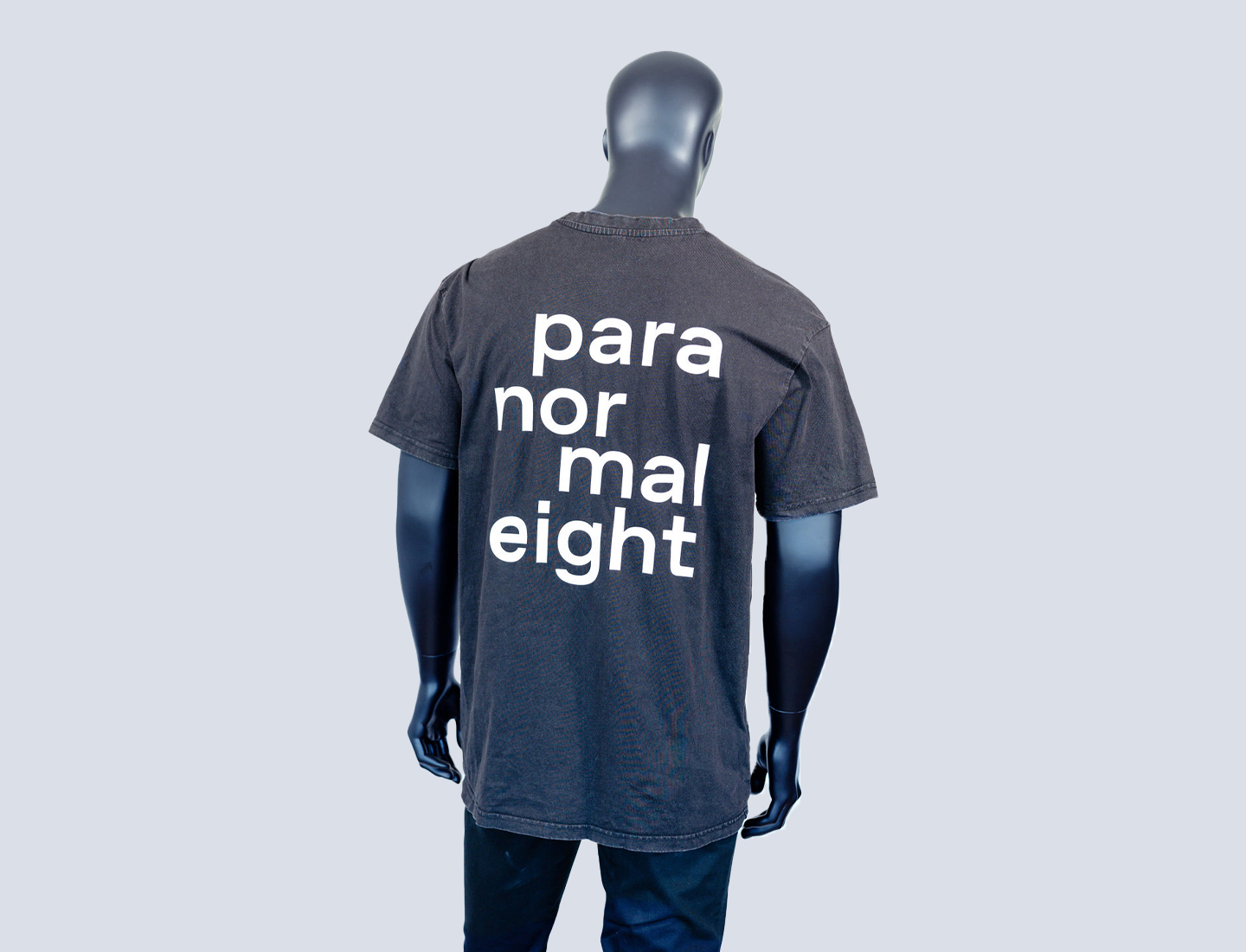PLK_paranormal eight-oversize-tshirt-back-Header Website 1440x1100px